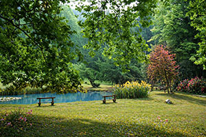 Kastély és arborétum