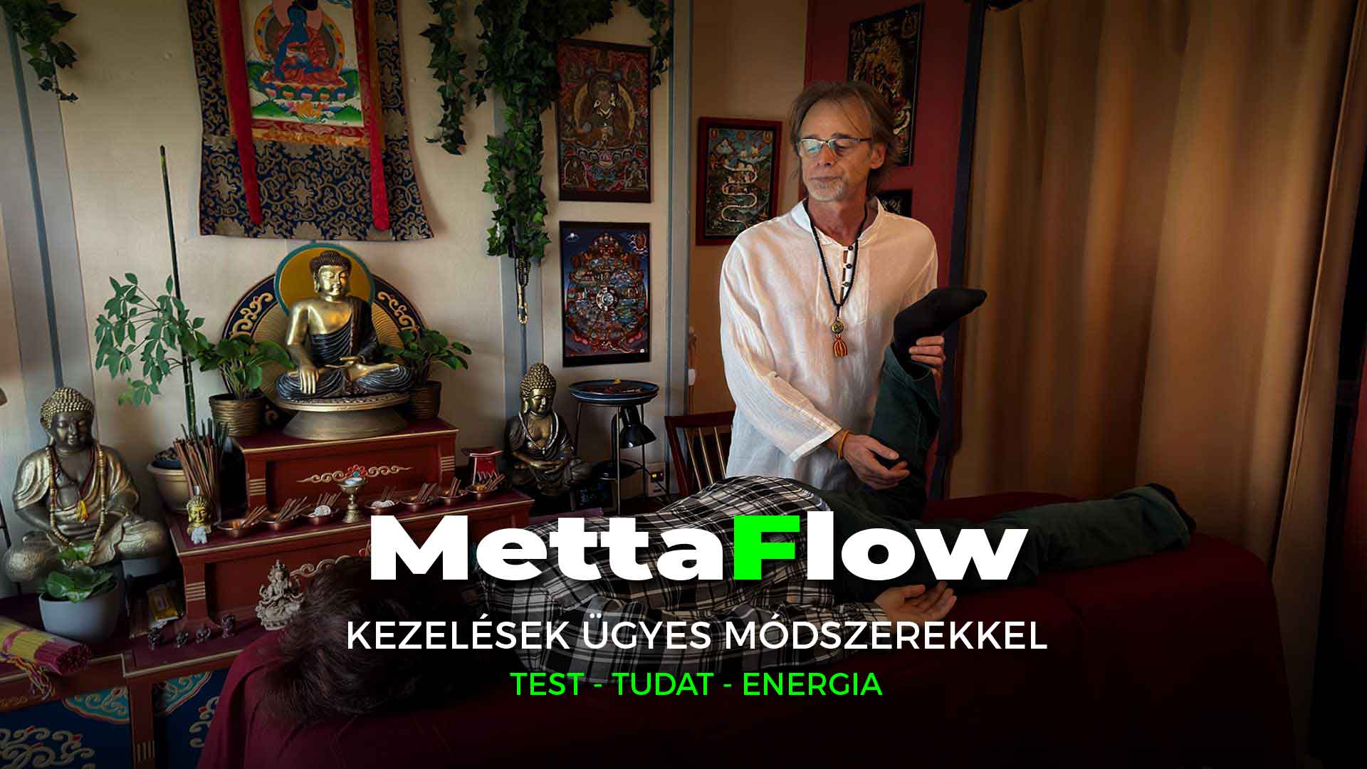 MettaFlow